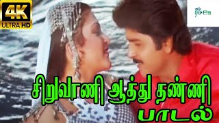 சிறுவாணி ஆத்து தண்ணி Siruvaani Aathu Thanni Mano ChitraLove Duet Melody Song [upl. by Aikat646]