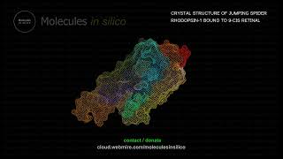 Molecules in silico ･ CRYSTAL STRUCTURE OF JUMPING SPIDER RHODOPSIN1 BOUND TO 9CIS RETINAL [upl. by Darrell696]