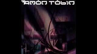 Amon Tobin  Permutation Full Album [upl. by Ahsienauq]