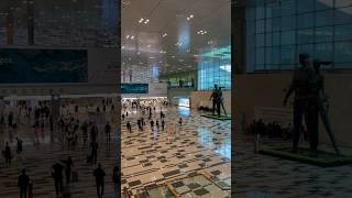 Exploring the Amazing Features of Changi Airport [upl. by Blanding]