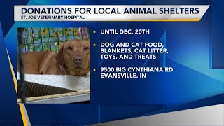 St Joe Veterinary Hospital accepting donations to benefit local animal shelters [upl. by Suiramaj]