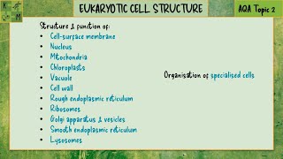 Eukaryotic Cell Structure  AQA A level Biology Topic 2 [upl. by Godart436]