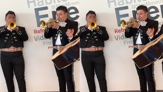 Solo de Trompetas Versión Mariachi 2000  Cascabel 🎺🎺 [upl. by Whiffen]