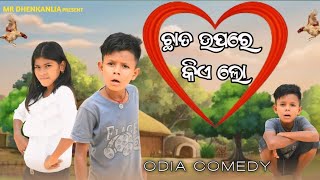 ଛାତ ଉପରେ କିଏ ଲୋ  Odia Comedy  New Story Comedy  Mr Dhenkanalia Comedy [upl. by Nnaeilsel]