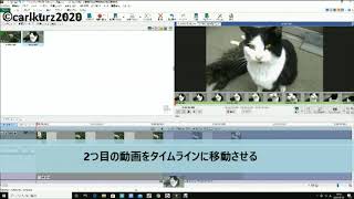 VideoPadを使って、2分割（分割画面）の動画作成 [upl. by Elbertine676]