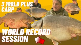 3 100lb CARP  WORLD RECORD CARP FISHING SESSION [upl. by Yeleak]