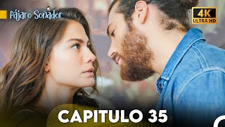 Pájaro Soñador Capítulo 35 Doblado En Español 4K [upl. by Einnod]