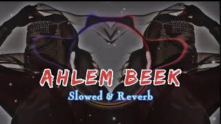 AHLEM BEEK  Remix Tik Tok Viral  Slowed amp Reverb  TOP TRENDING BGM [upl. by Ahilam162]