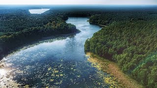 Natur amp Geschichte  Wunderschöne Schorfheide  Herbst in Carinhall [upl. by Aisital]