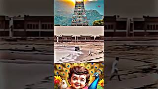 🦚🥺 முருகனே துணை 💯😣muruganwhatsappstatustamil tamilkadavulmurugan muruganlove🦚🦚👑🕉️🙏🙏🕉️🕉️ [upl. by Louth]