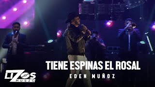 Eden Muñoz  Tiene Espinas El Rosal En Vivo Chicago [upl. by Chaker189]