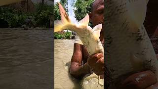 Monster Fishing With Asian Fishing Method shorts New Shorts Video 2024  Viral Village Polo Fishing [upl. by Layap]