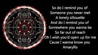 Shinedown  Amaryllis with lyrics [upl. by Mckee]