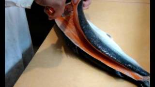 Lachs filetieren  How to filet salmon [upl. by Nahc539]