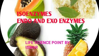 ISOENZYMESEXOENZYMEENDO ENZYMES। [upl. by Nahsez73]