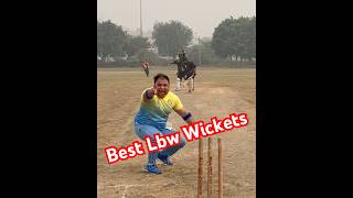 Best Lbw Wickets In Cricket History  Best Umpiring Decisions In Cricket Ever [upl. by Amaras981]