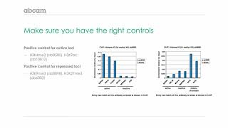 Immunoprecipitation IP Controls [upl. by Francine470]