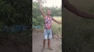 Jila ka jila Banakar beta per jalva Kesariya Re funny video🤣🤣 [upl. by Lian]