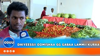 DHIYEESSII OOMISHAA GG GABAA LAMMII KURAA [upl. by Charley]