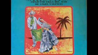 El Torito Jarocho  Conjunto jarocho Villa del Mar de Angel Valencia son jarocho [upl. by Staford352]