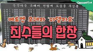 마법음악 죄수들의 합창 베토벤 오페라 피델리오 [upl. by Ovatsug]