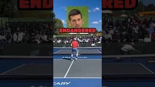 “Tennis Is ENDANGERED” Novak Djokovic  Is Tennis Dying shorts [upl. by Hedaza]