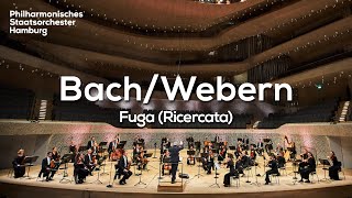 Bach Fuga Ricercata a 6 voci Nr 2 BWV 1079  Ingo Metzmacher Philharmonisches Staatsorchester [upl. by Nnyleuqcaj365]