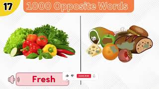 1000 Opposite Words  Antonyms In English  Opposites  Opposite word in English  Common opposites [upl. by Pigeon]