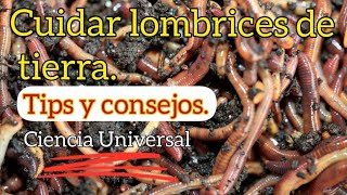 Cuidados de una lombricomposta TIPS DE MANTENIMIENTOS BÁSICOS [upl. by Irmina]