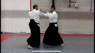 Yoseikan Aikido seminar 2023 [upl. by Roanne316]