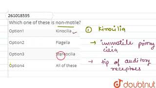 Which one of these is nonmotile  CLASS 12  STRUCTURAL ORGANISATION IN ANIMALS  BIOLOGY  D [upl. by Nylemaj]