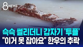 슥슥 썰리더니 갑자기 투플…quot이거 못 잡아요quot 한우의 추락  SBS 8뉴스 [upl. by Grekin]