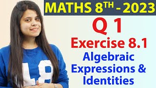 Q 1  Ex 81  Algebraic Expressions amp Identities  Ch 8  Maths Class 8 New Syllabus CBSE 2023 [upl. by Chic]