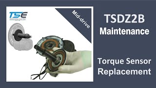 Tongsheng TSDZ2B Torque Sensor Replacement [upl. by Ydnis370]