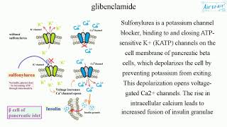 glibenclamide [upl. by Camden846]