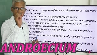 Morphology Of Flowering Plants NCERT Solutions ANDROECIUM [upl. by Llekim]