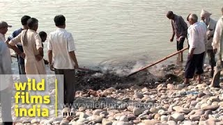 Hindu funeral rites at Chandi ghat of Haridwar [upl. by Eelnodnarb753]