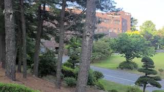 Greenery afternoon view of CALS Chungnam National University Daejeon [upl. by Lennad98]