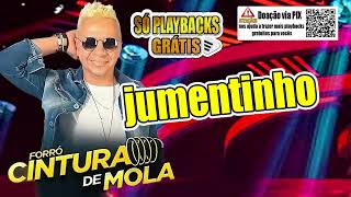 PLAYBACK GRATIS JUMENTINHO FORRO CINTURA DE MOLA [upl. by Vance]