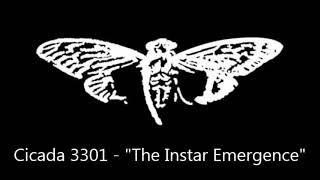 Cicada 3301  quotThe Instar Emergencequot [upl. by Eikcuhc]