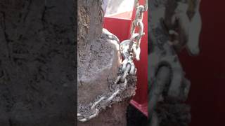 How to Remove a Rotted Fence Post Quickly fences removal posts [upl. by Braca]