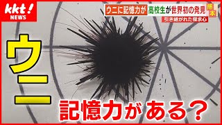 【ウニに記憶力】高校の生物部が世界初の発見 その内容とは？ [upl. by Marih474]