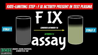 Chromogenic Factor IX Activity Test  F IX Assay  Chromogenic Factor IX Assay [upl. by Rochelle]