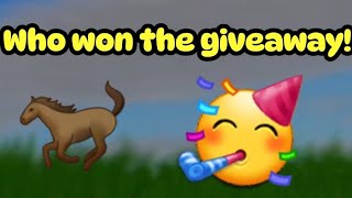 Who won the giveaway🥳Wild horse islands [upl. by Eelyrehc804]