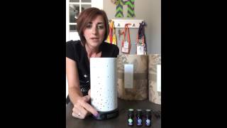 Introducing the new Scentsy Diffuser and Essential Oils [upl. by Mundford899]