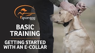 Basic Training  Getting Started with an ECollar [upl. by Narol99]