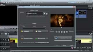 Magix Video Deluxe Lección 11 [upl. by Bywaters313]