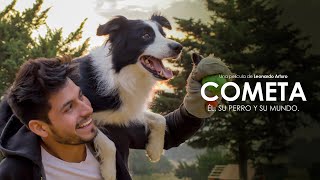 Como Perros Y Gatos 2 La Revancha De Kitty Galore Película Completa en Español Latino [upl. by Laddy]