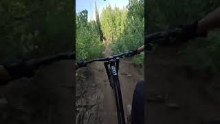 Fire swamp tech trail part 1 youtubeshorts mtb [upl. by Arraes]