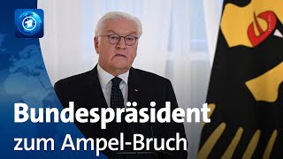 Steinmeier appelliert nach Koalitionsende an Verantwortung aller Beteiligten [upl. by Liva]